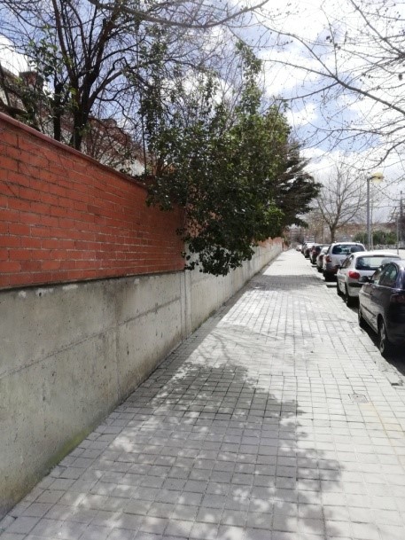 El Valor Estético de Nuestra Ciudad