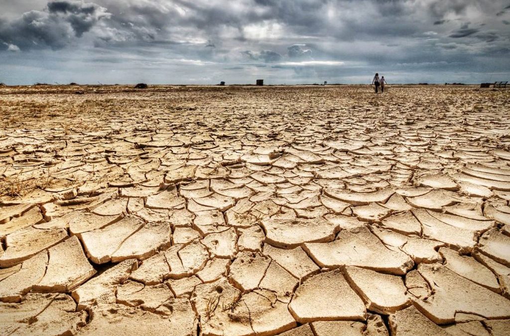 Emergencia climática real ¡ya!