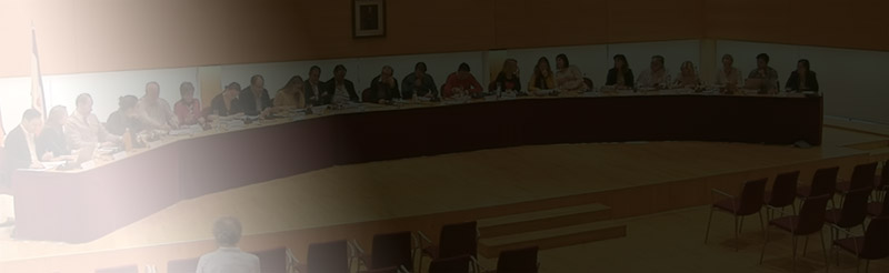 Pleno extraordinario y oculto
